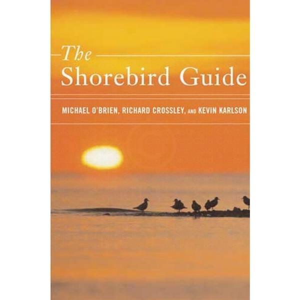 The Shorebird Guide