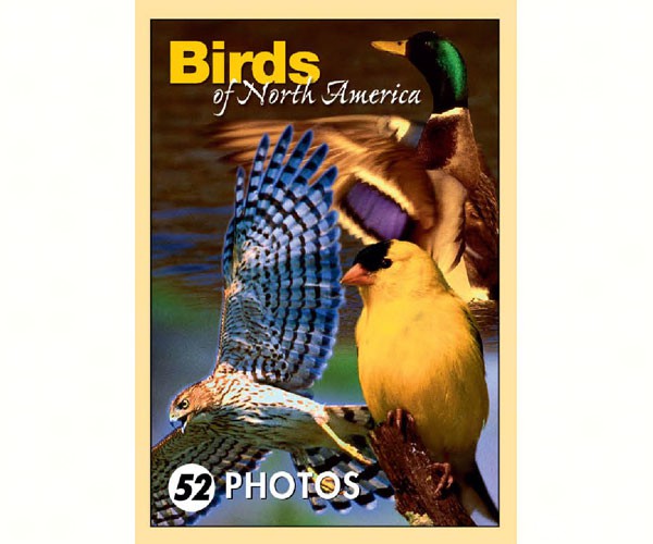 Birds of North America Mini Playing Cards