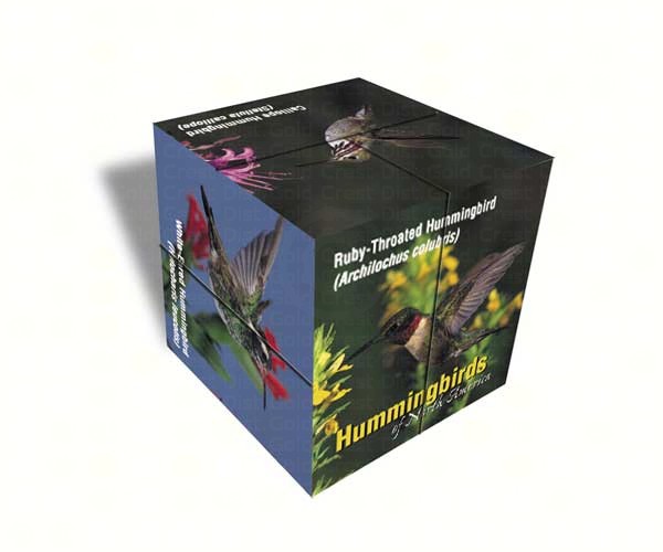 Photo Cube hummingbird North America