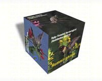 Photo Cube hummingbird North America-IMP19PC