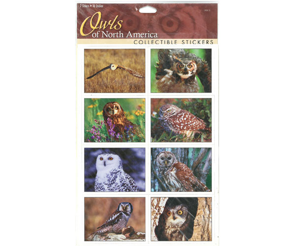 Sticker Sheet Owls North America