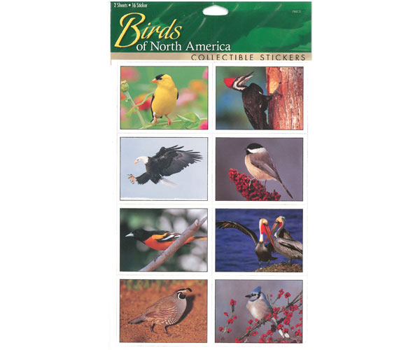 Sticker Sheet Birds North America