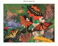 Cleaning Cloth Butterflies-IMP52821CLC