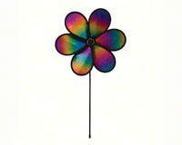 Rainbow Whirl Flower-ITB2872