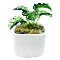Monstera Plant Milano Art Glass-MA-040
