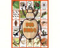 Bug Bingo-LH2777