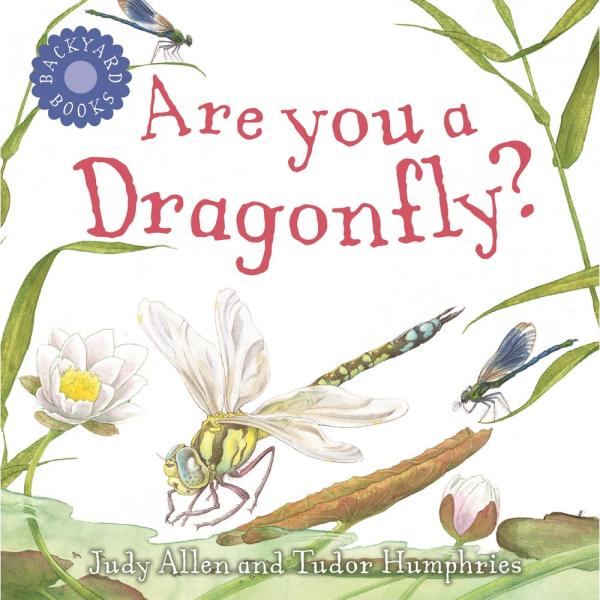 Are you a Dragonfly? Are you a Dragonfly?