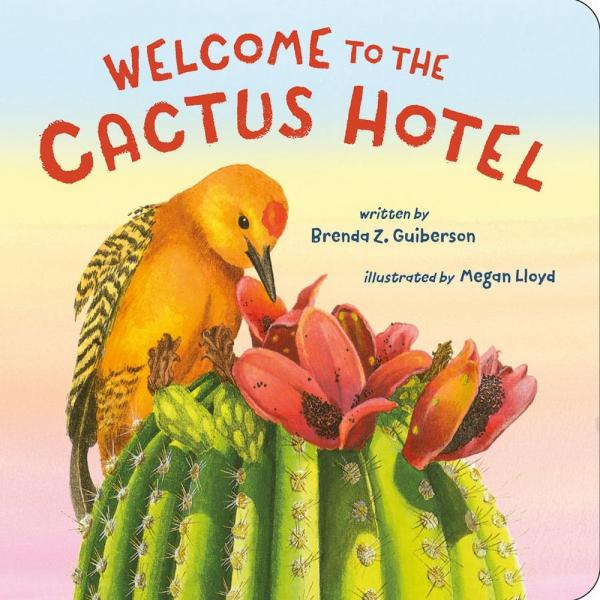 Welcome to the Catus Hotel