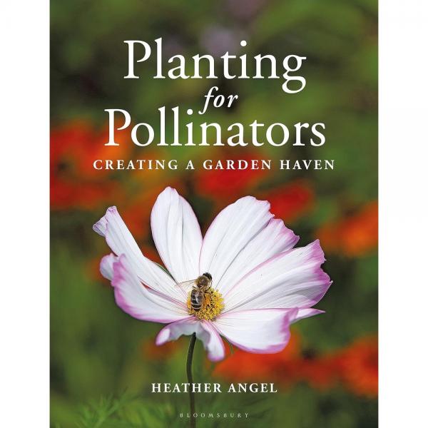 Planting for Pollinators: Creating a Garden Haven