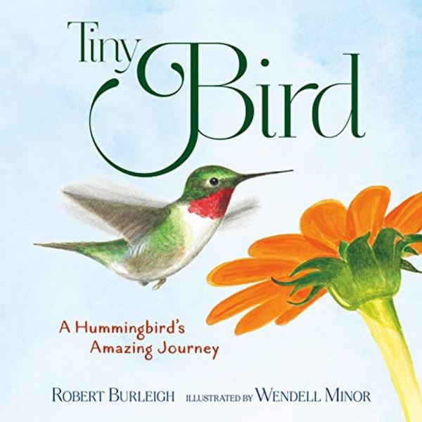 Tiny Bird A Hummingbird's Amazing Journey