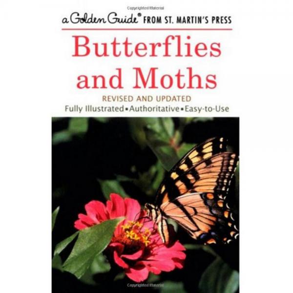 Butterflies and Moths by Robert T Mitchell and  Herbert S Zim