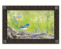 Meadow Bluebird Matmate-MAIL11272