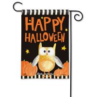 Halloween Night Owl Garden Fla-MAIL33147