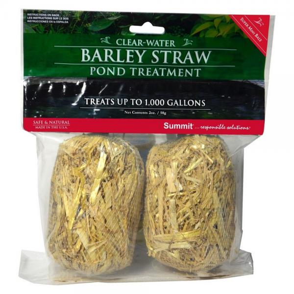 2 Super Mini Bales Barley Straw