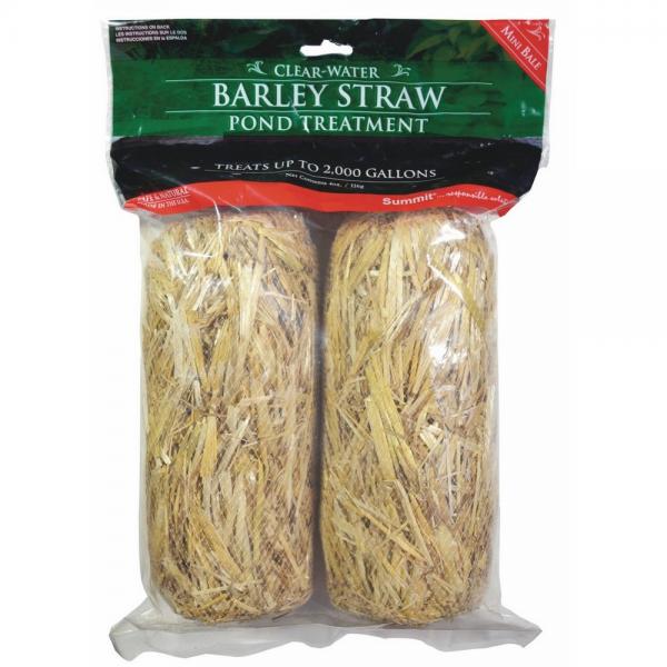 2 Mini Bales Barley Straw