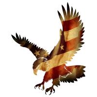 Patriotic Eagle Wall Art Metal-NI101410021PATC