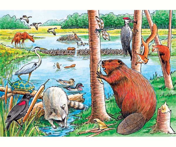 Cobble Hill The Beaver Pond 35 Piece Tray Puzzle