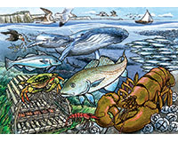 Cobble Hill Life in the Atlantic Ocean 35 Piece Tray Puzzle-OM58804