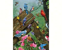 Birds of the Forest 1000 pcs-OM80086