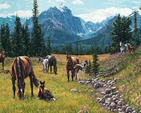 Cobble Hill Horse Meadow 1000 Piece Puzzle-OM80113