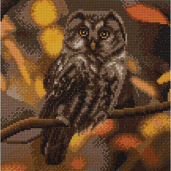 Tawny Owl Crystal Art Medium Framed Kit