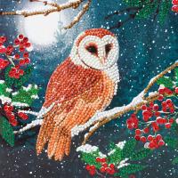 Barn Owl Crystal Art Card Kit-OMCA48929
