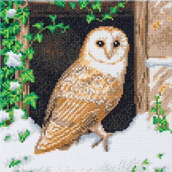 Snowy Owl Crystal Art Medium Framed Kit