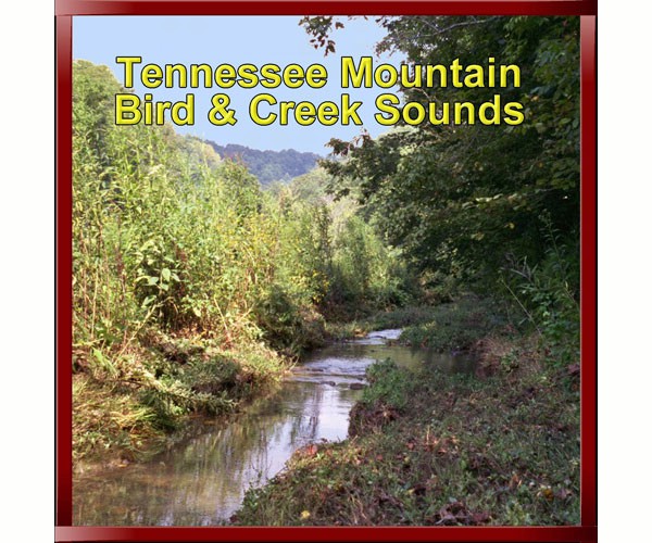 Tennessee Mountain Bird and Creek Sounds CD
