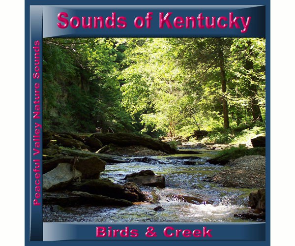 Sounds of Kentucky Birds and Creek CD