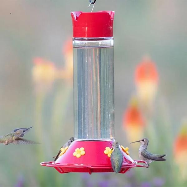 Our Best 30oz Glass Hummingbird Feeder