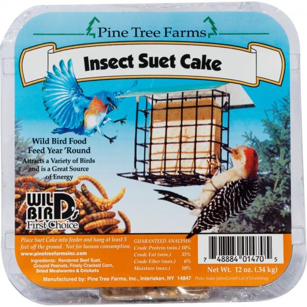 Insect Suet Cake Plus Freight