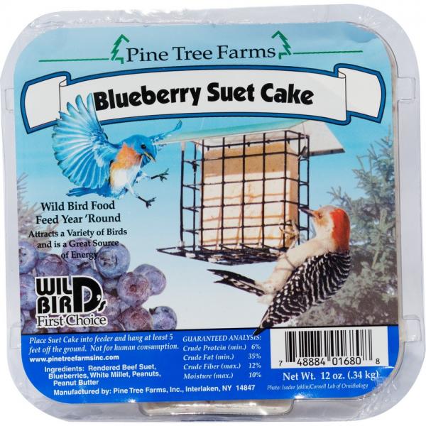 12 oz Blueberry Suet Cake Plus Freight