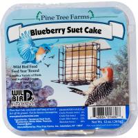 12 oz Blueberry Suet Cake-PTF1680