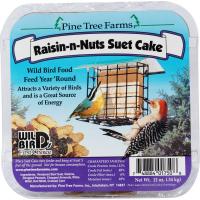 12 oz Raisin-N-Nut Suet Cake Plus Freight-PTF1750