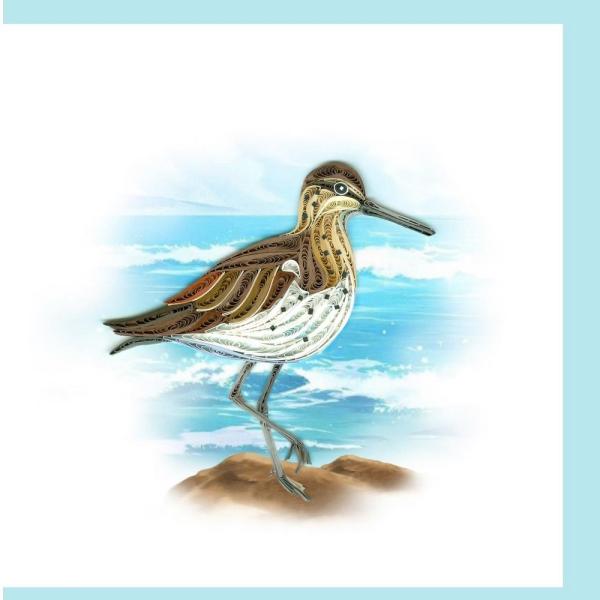 Sandpiper Quilled Card