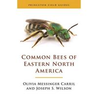 Common Bees of Eastern North America-PR0691175492