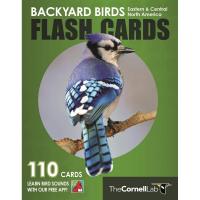 Backyard Birds Flash Cards - Eastern & Central North America-PR0691194707