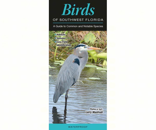 Birds of Southwest Florida by Author Larry Manfredi