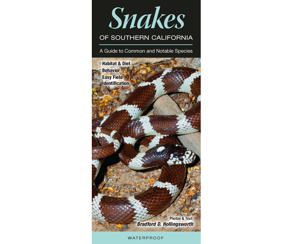Snakes of Southern California by Bardford Holligsworth