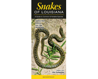 Snakes of Louisiana by Cliff Pustajovsky-QRP195
