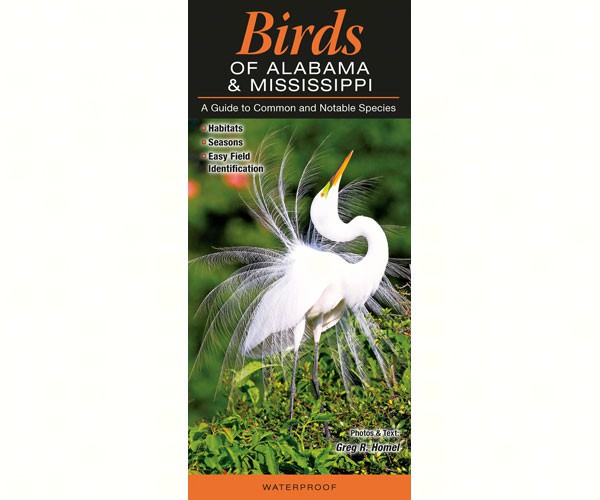 Birds of Alabama & Mississippi by Greg Homel