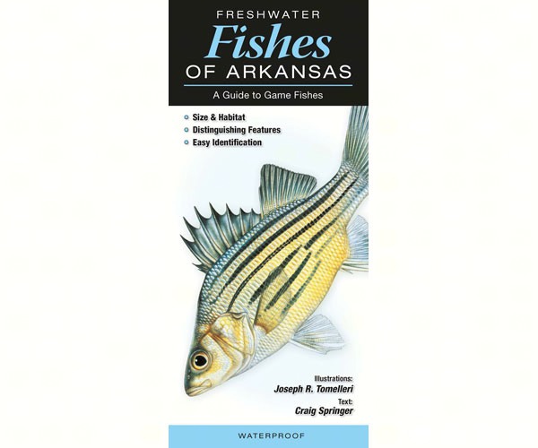 Freshwater Fishes of AR