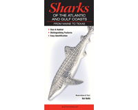 Sharks of the Atlantic and Gulf Coast by Val Kells-QRP306