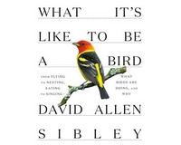 What It's Like To Be a Bird-RH0307957894