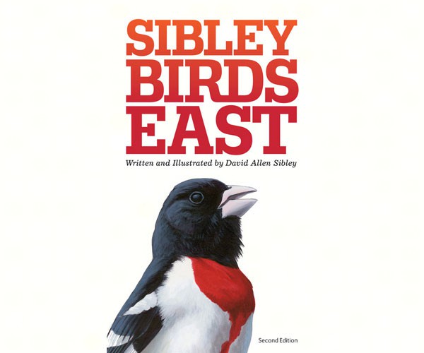 Sibley Field Guide to Birds East 2nd Edition
