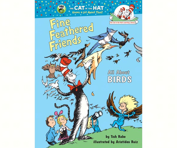 Fine Feathered Friends All About Birds by by Tish Tabe