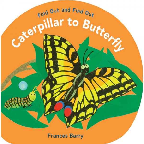 Caterpillar to Butterfly Fold Out and Find Out by Frances Barry