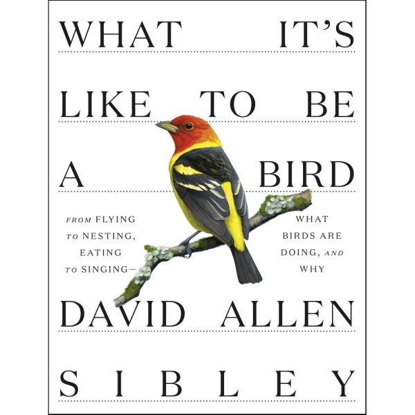 What It's Like To Be a Bird What It's Like To Be a Bird