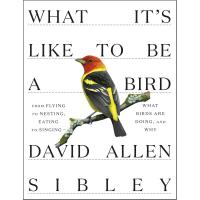 What It's Like To Be a Bird-RH9780307957894