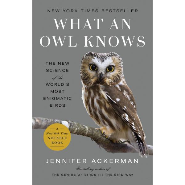 What an Owl Knows